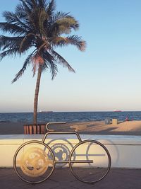 Palm trees on beach against clear sky