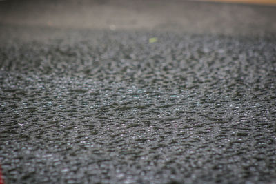 Close-up of water surface level of road