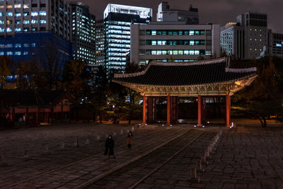 People walking on street in city at night