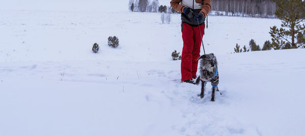 Man in red with mixed breed dog on harness in warm suit walking in snow winter hiking pet adoption