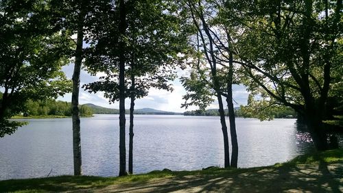 Scenic view of lake against trees