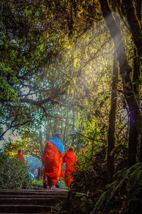 Man standing on tree trunk in forest