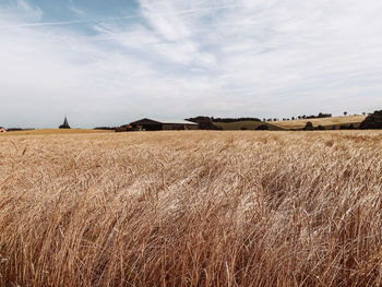 Scenic view of agricultural field against sky