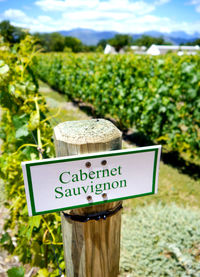 Close-up of information sign on field