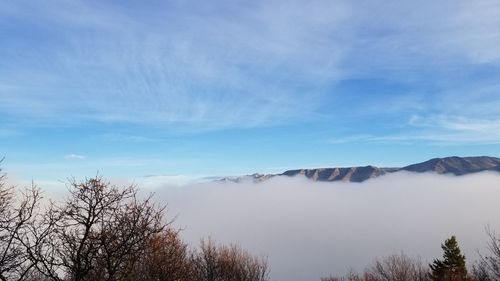 Scenic view of trees and mountains against blue sky