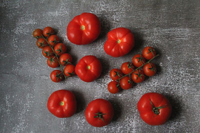 Directly above shot of tomatoes against white background