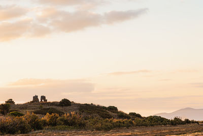 Scenic view of field against sky during sunset