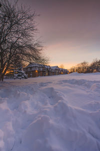 Snow covered bare trees against sky during sunset