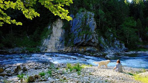 Dog standing on rock by water