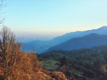 mountain