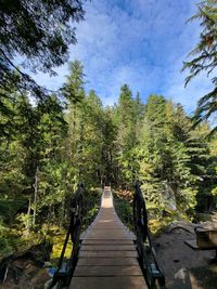 Wooden footbridge amidst trees in forest against sky