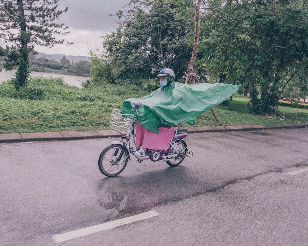 bicycle, tree, transportation, mode of transport, land vehicle, stationary, green color, day, growth, outdoors, street, parking, nature, parked, riding, road, sunlight, plant