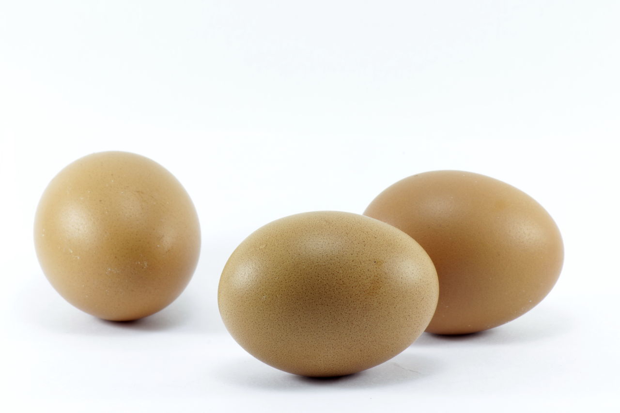 CLOSE-UP OF EGGS IN WHITE BACKGROUND