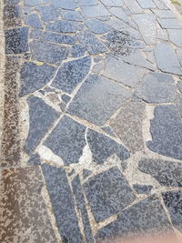 Full frame shot of paving stone