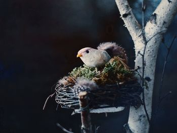 Artificial bird on nest at night