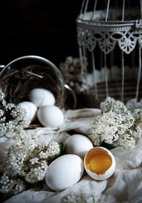 Close-up of eggs and flowers on black background