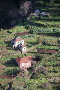 High angle view of trees and houses on field