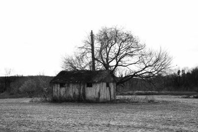 Bare tree against sky