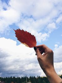 Close-up of hand holding maple leaf against sky