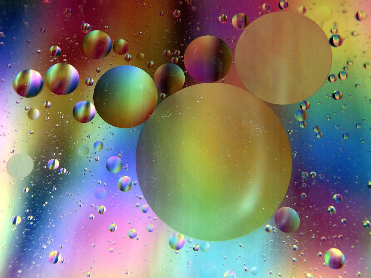 sphere, indoors, close-up, circle, ball, transparent, green color, bubble, drop, multi colored, balloon, blue, no people, water, wet, freshness, glass - material, low angle view, food and drink, nature