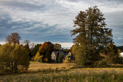 Trees on field against sky