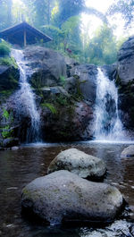 Water flowing through rocks in forest