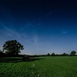 Scenic view of grassy field against sky