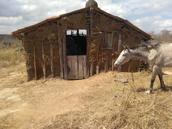 Casa , tapera, fazenda, agricultura, paisagem