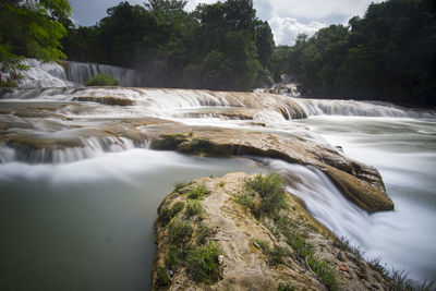 Scenic view of waterfall in forest