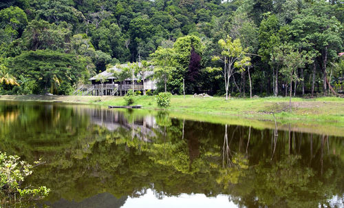 Scenic view of lake by trees