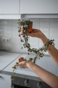 Cropped hand of woman holding flower