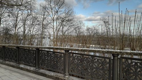 Fence by bare trees against sky