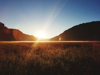 Scenic view of field against clear sky during sunset