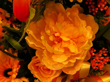 Close-up of flowers blooming outdoors