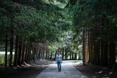 Full length of young man walking on footpath amidst trees in forest