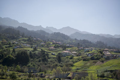 Scenic view of field against clear sky