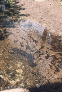 High angle view of wet sand