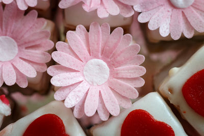 Close-up of colorful petit fours with flower decoration