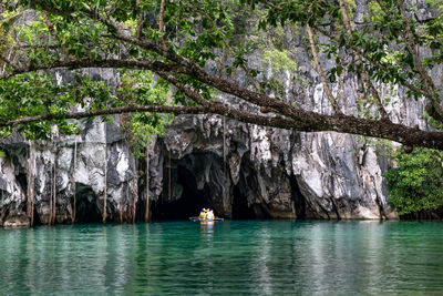 Scenic view of sea against trees