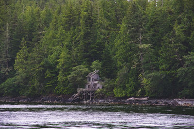 Scenic view of lake in forest