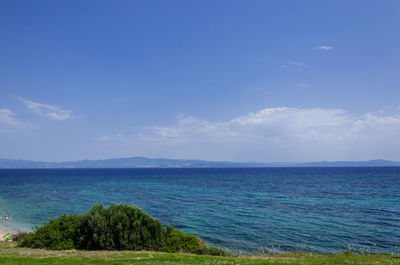 Scenic view of field against blue sky