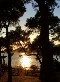 Silhouette trees by sea against sky during sunset