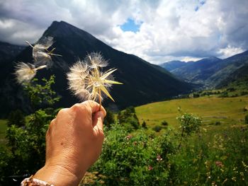 Midsection of person holding flowering plant against mountain