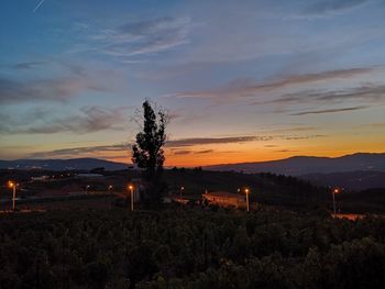 Scenic view of field against sky during sunset