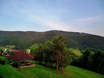 Scenic view of agricultural field against sky