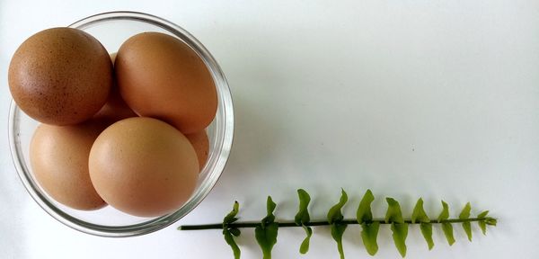 High angle view of eggs in container on table