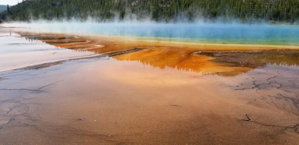 Scenic view of wet land