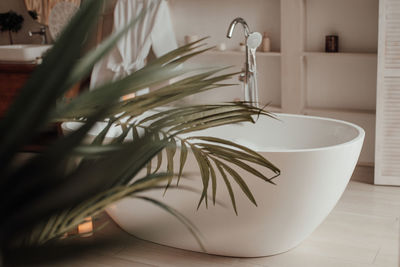 Luxury interior of big bathroom at modern african style with oval bathtub in natural lighting