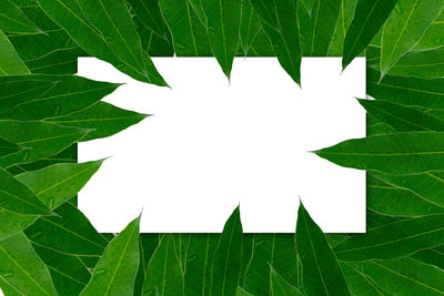 Digital composite image of green leaves