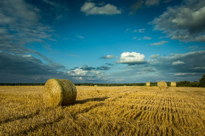 Bales of hay on stubble, horizon and clouds on a blue sky